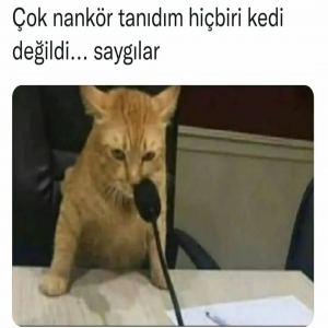 ders veren öğretmen